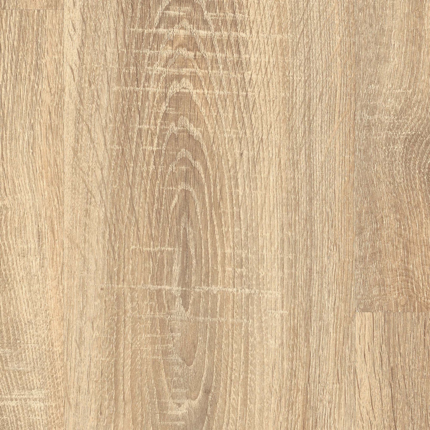 Tranquil Oak - Wood Essence Water Resistant 8mm Laminate Flooring