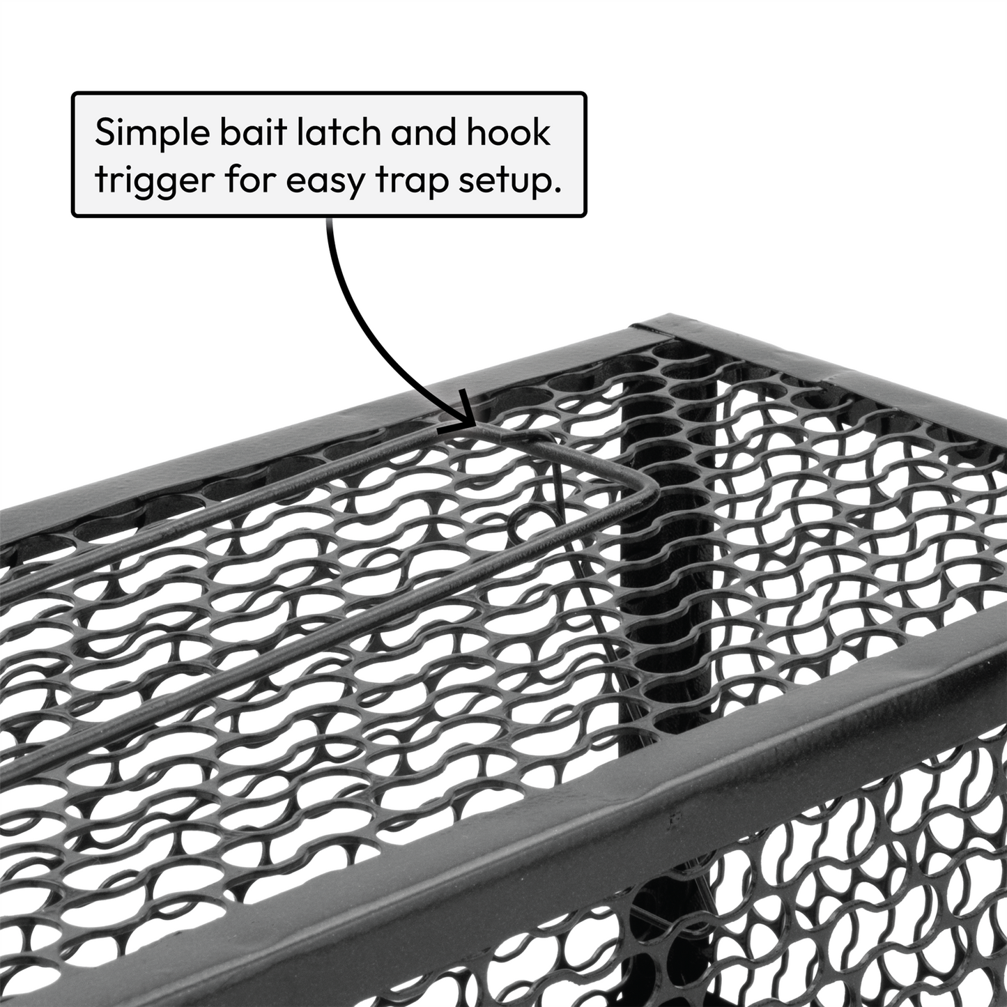 Humane No Kill Rat Traps
