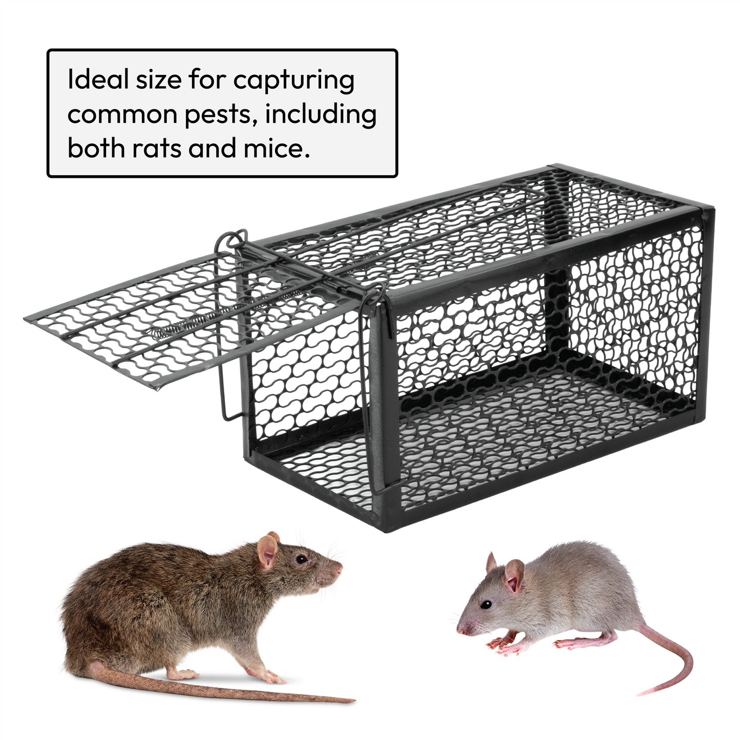 Humane No Kill Rat Traps