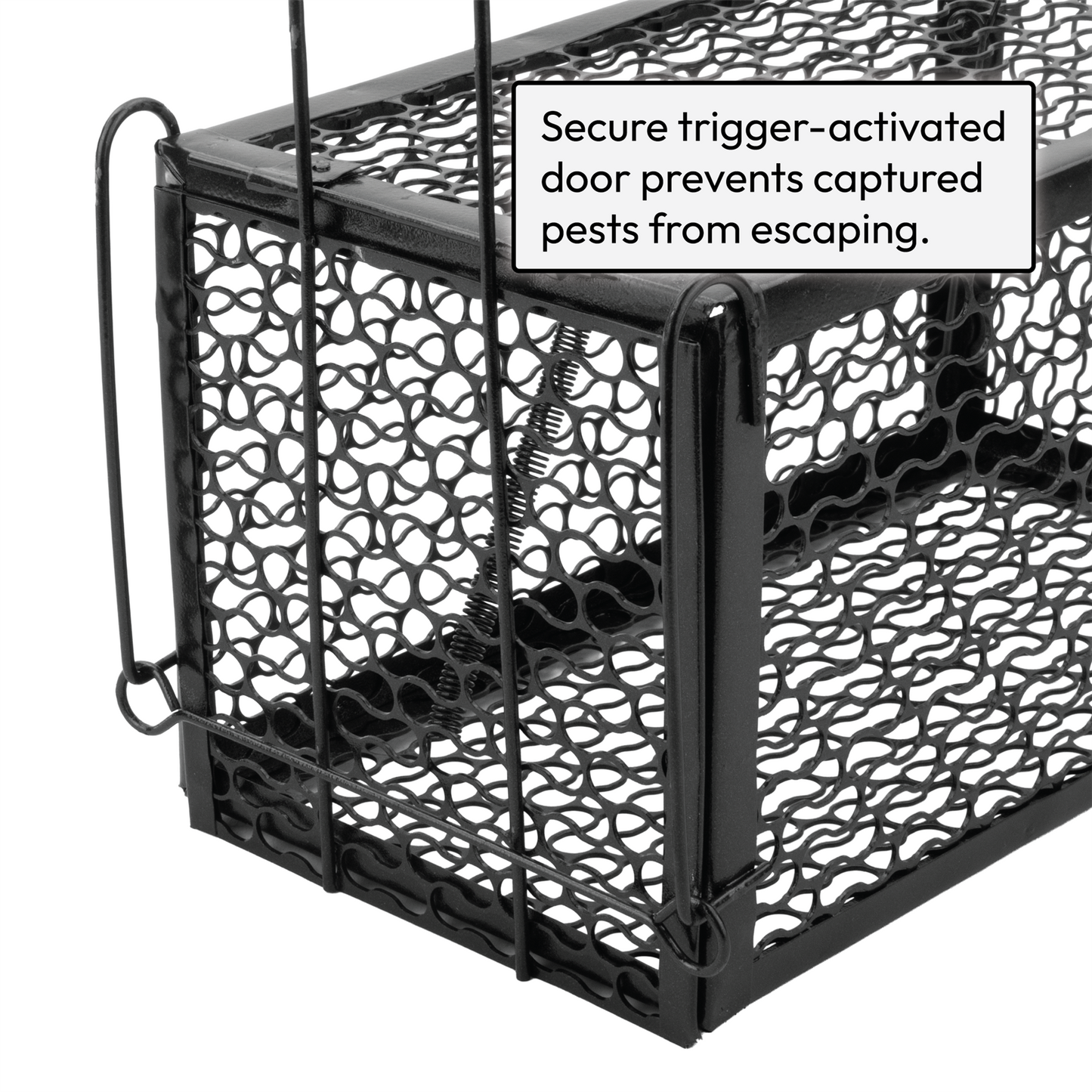 Humane No Kill Rat Traps