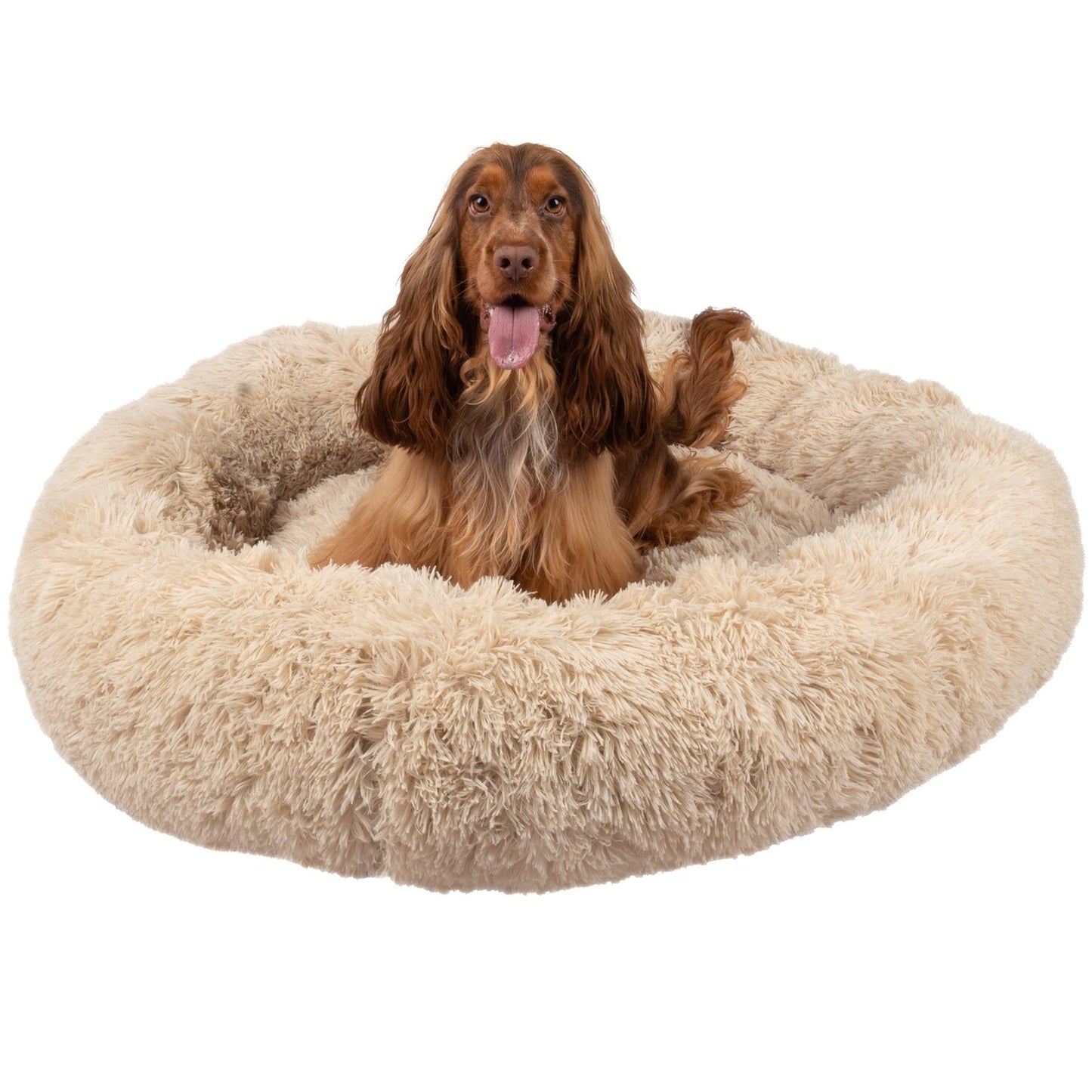 Seventh Heaven Bed