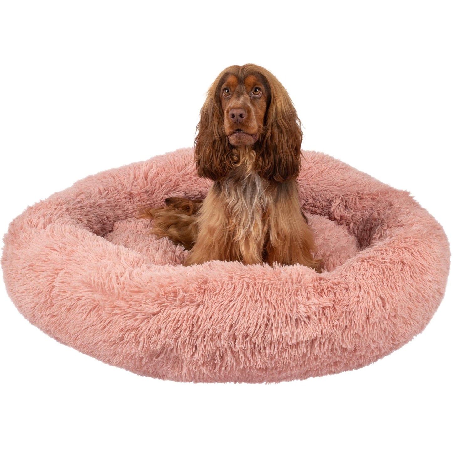 Seventh Heaven Bed