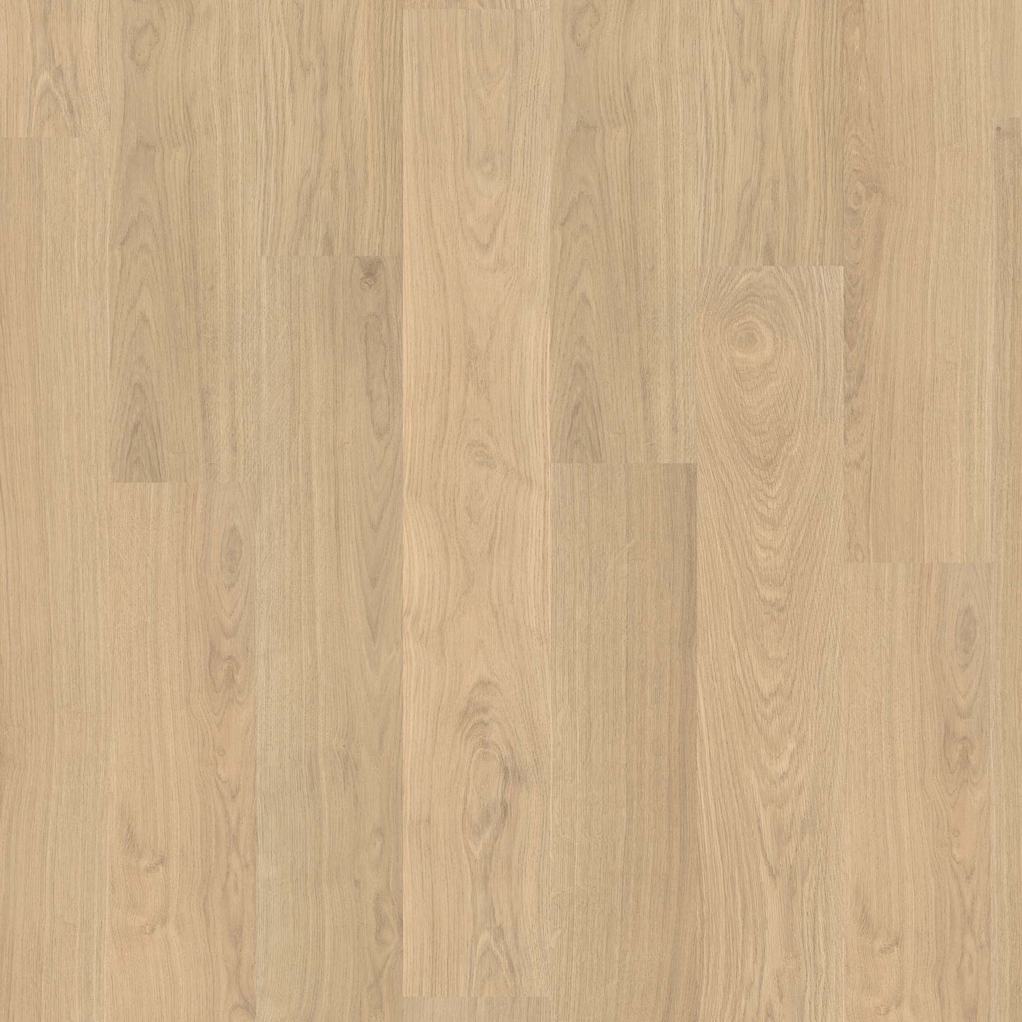 Arden Oak - Wood Essence Water Resistant 7mm Laminate Sample