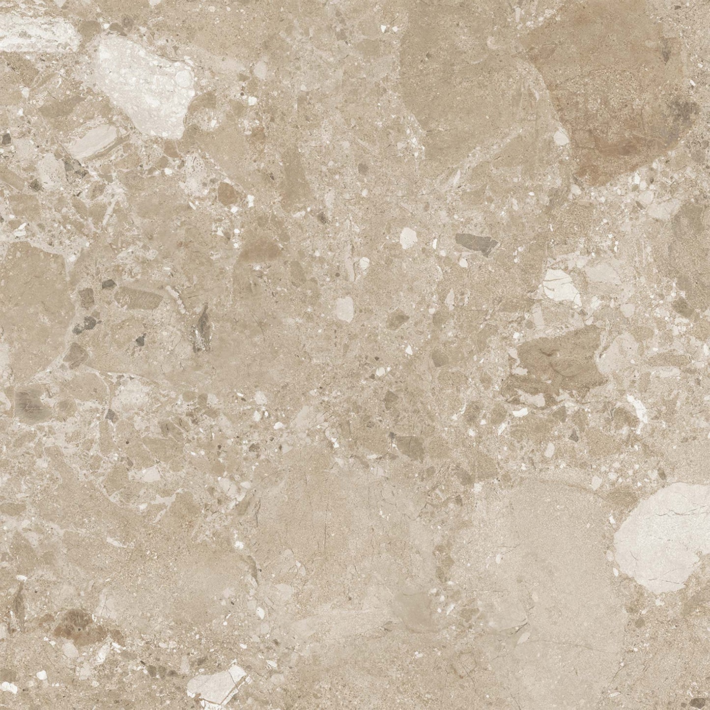 Beige Matt - Terazzia Smooth Porcelain Wall & Floor Tile