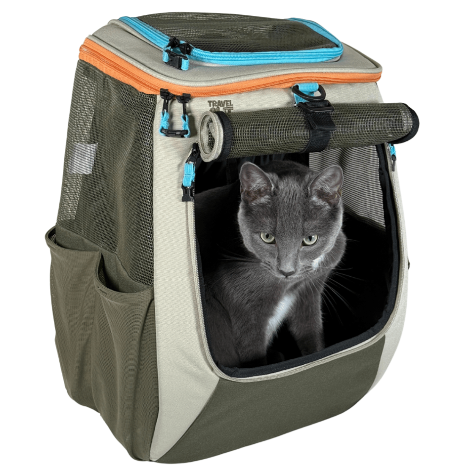 "The Pack-N-Go" Bundle