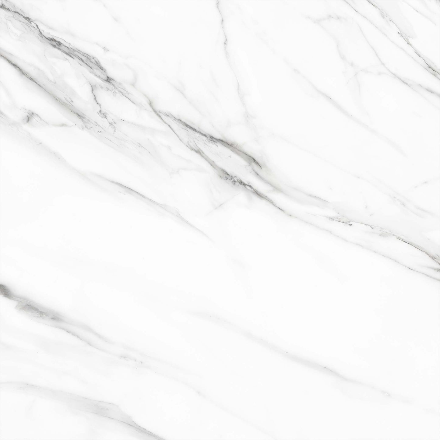 Clarence Matt - Smooth Porcelain Wall & Floor Tile Sample