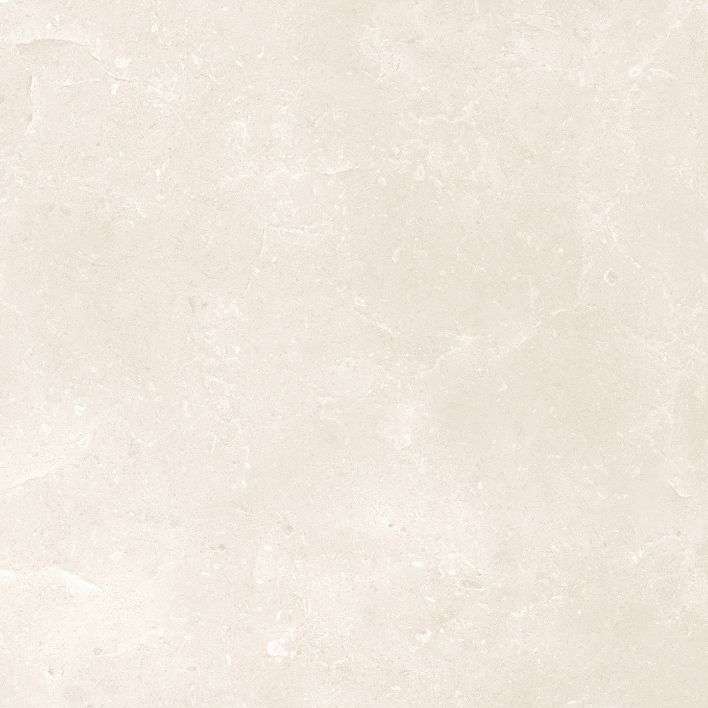 Belmont Matt - Smooth Porcelain Wall & Floor Tile Sample